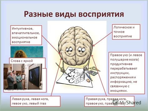 Воздействие гипноза на восприятие информации: границы и возможности