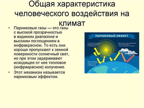 Воздействие климатических факторов на долговечность наливного покрытия на открытой территории