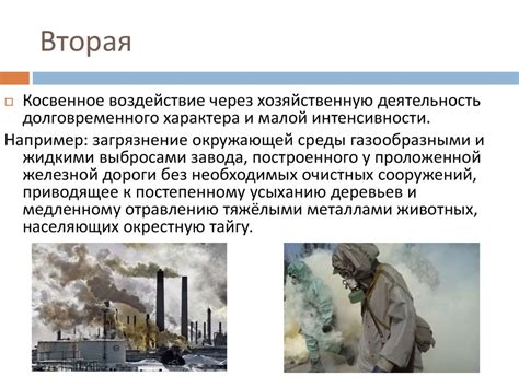 Воздействие памятника на городскую окружающую среду и общественное мнение