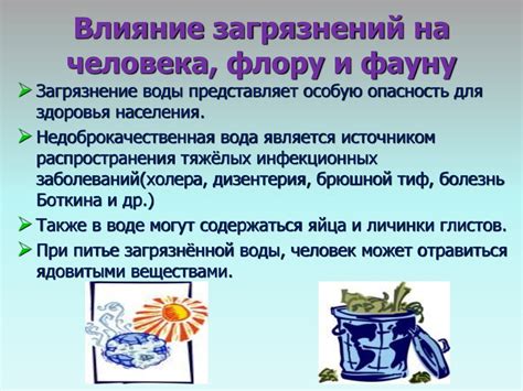 Воздействие чистого продукта на здоровье человека
