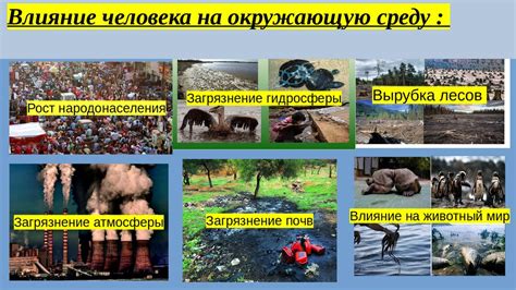 Воздействие экстремальной термической нагрузки на организм человека и окружающую среду