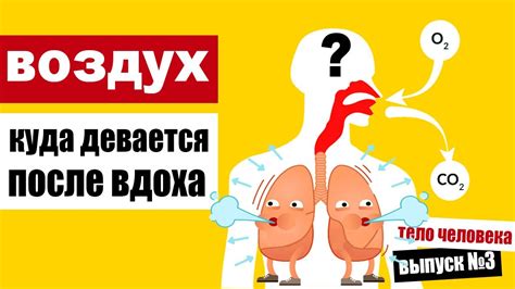 Воздух, который вдыхаем: опасные последствия задушливых порывов для здоровья