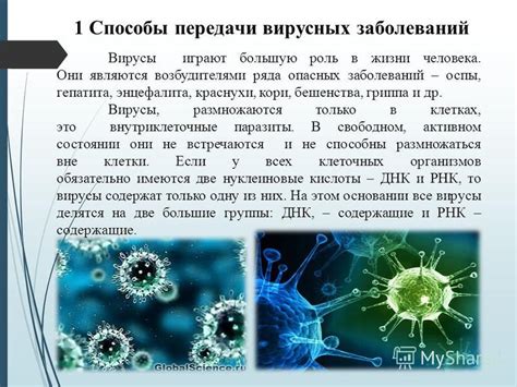Возможность передачи бактериальных и вирусных инфекций