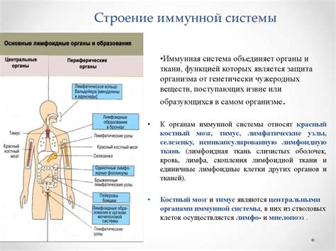 Возможные осложнения и угрозы для иммунной системы растений