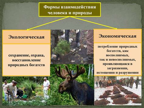 Возможные последствия расширения зоны ледостава у побережья для жизни общества и природы