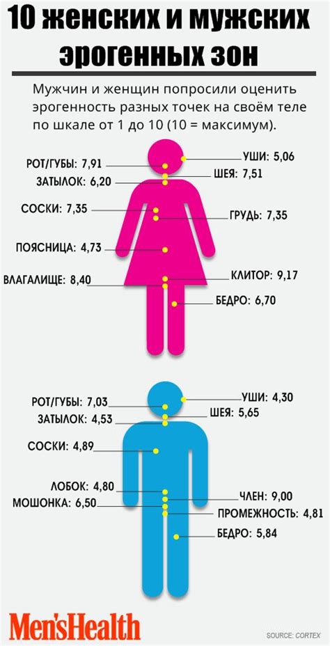 Волосы как эрогенная зона: научные факты и мнения экспертов