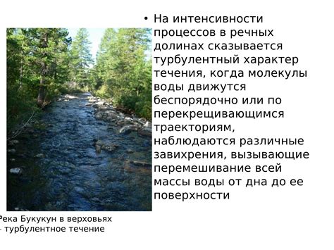 Восстановление забытых потоков и рек в результате страданий природы