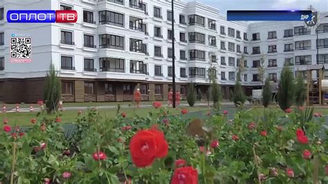 Восстановление и готовность к возвращению к нормальному питанию