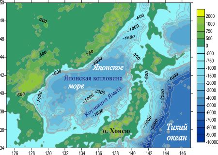 Восточные границы миграции скумбрии в Японском море