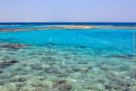 Восточный Берег Красного моря: рай для подводных любителей