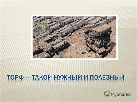 Востребованные локации для обнаружения минеральных образований в естественных водоемах