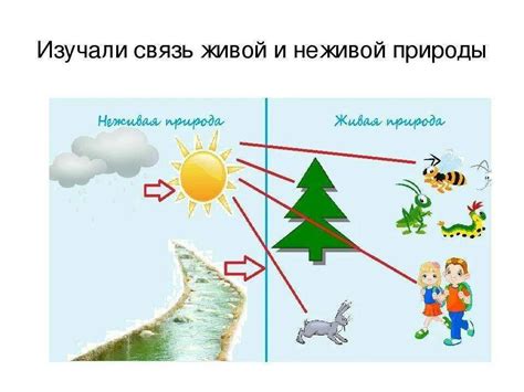 Вредная взаимосвязь между водой и медными конструкциями: риск образования коррозии