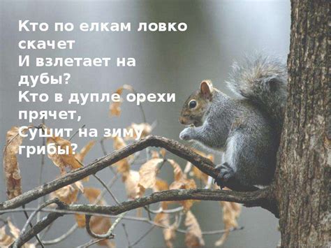 Встречи с лесными обитателями: удивительное знакомство со зверями