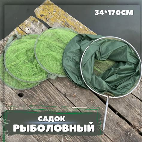 Выберите подходящее снаряжение для улова разноцветного морского животного