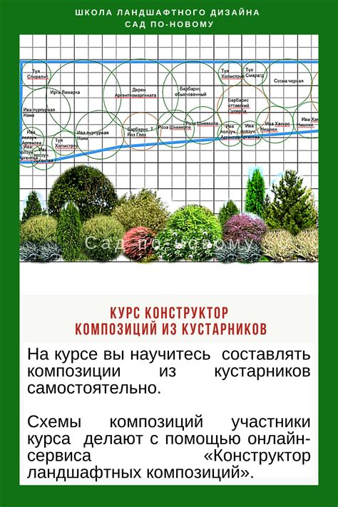 Выбираем оптимальный вариант: польза и недостатки востребованных растений в саду