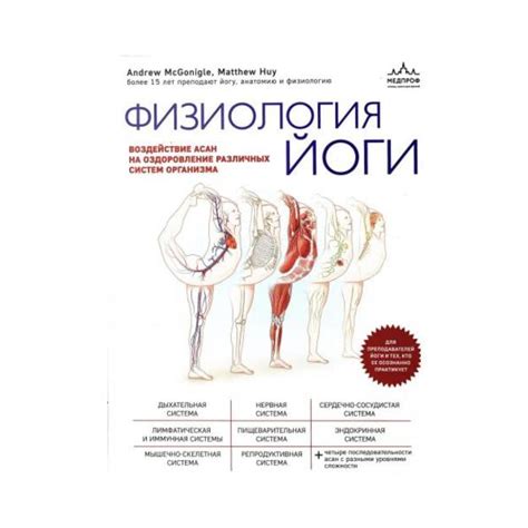 Выбор оптимальных асан и их воздействие на организм