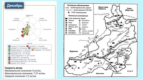 Выбор подходящего места для размещения крокусов