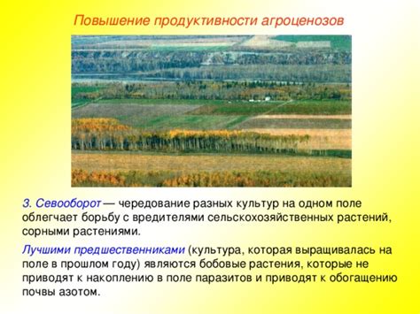 Выбор растений, приспособленных к различным климатическим зонам