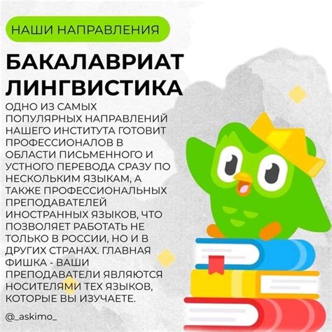 Выбор специализации: основные направления обучения