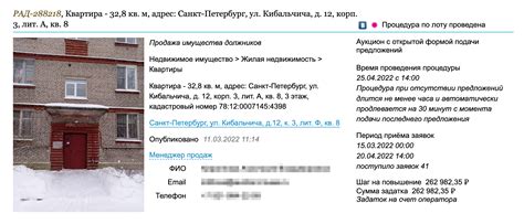 Выбор типа визы, на которую была подана заявка