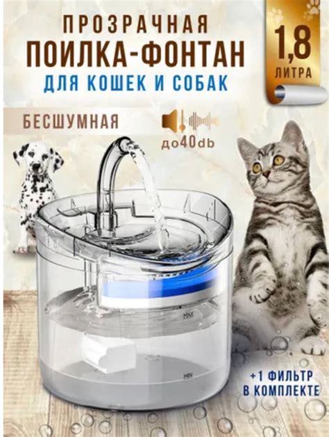 Выбор эффективной поилки для обеспечения достаточного уровня гидратации кошек