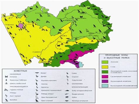 Выявленные сейсмические зоны на территории Алтайского края