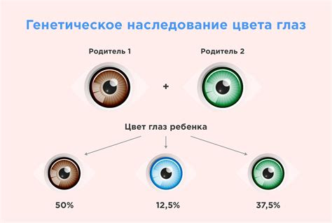 Генетика и вариабельность цвета кожи у детей: влияние генов и механизмы естественного отбора