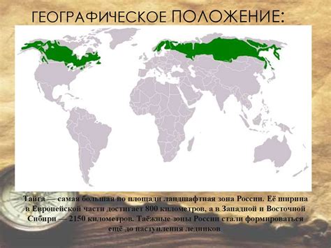 Географическое положение Бухары