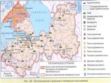 География распространения лещины в Ленинградской области