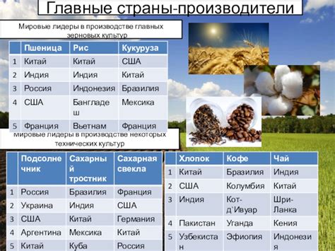 Главные области-лидеры в производстве соленодумного масла