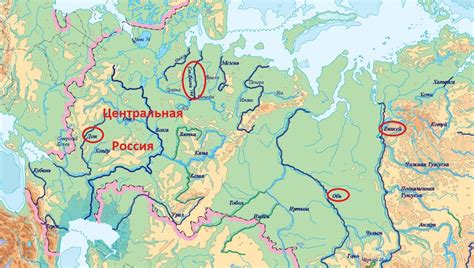 Долина реки Нева: где обнаружить натуральную чернику в густонаселенных местах