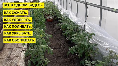 Дополнительные подсказки и советы для успешной посадки в тени