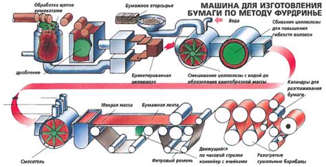 Древесина как ключевой составляющий производства бумаги и картона