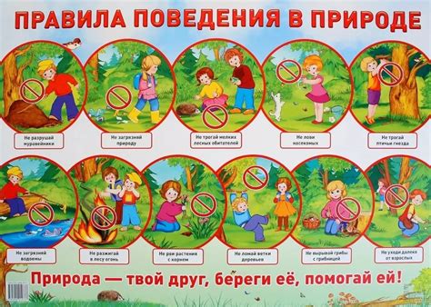 Жизнь и поведение песца в различных окружающих средах