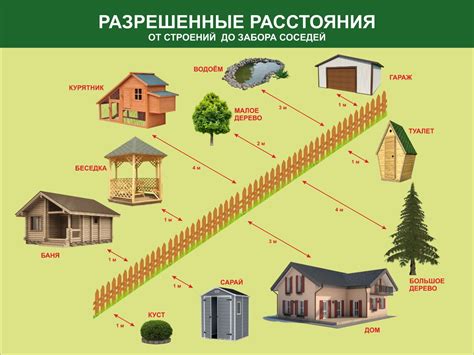 Жилищные требования ахатинам: чем должен быть подходящий дом