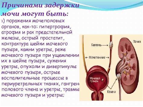 Заболевания, связанные с работой пищеварительной системы