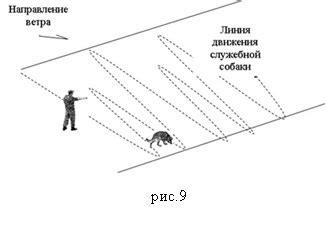 Запретные проходы и скрытые уголки для обнаружения спрятанных падлок кеев