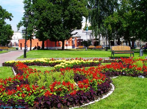 Захватывающая природа в центральной части города