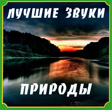 Звуки природы: уникальная гамма музыки вдохновения