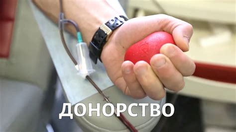 Здоровое питание, способствующее успешной сдаче крови