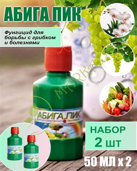 Зеленка как эффективное средство для борьбы с плесенью и грибком