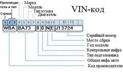 Значение и назначение идентификационного кода кузова автомобиля
