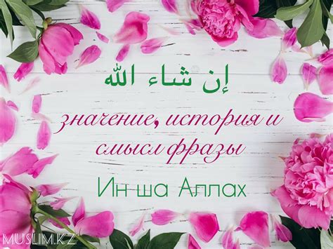 Значение и смысл фразы "не пойми"