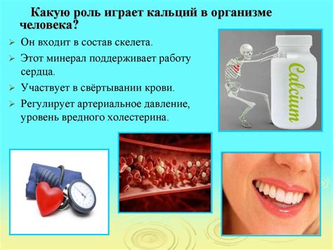 Значение кальция для организма и его функции