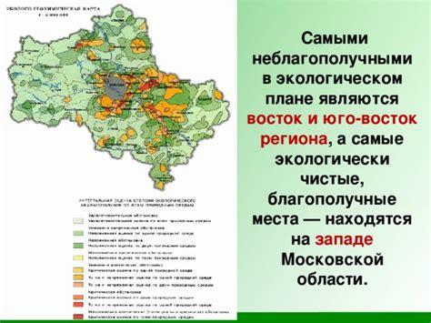 Значение лещины в экологическом и экономическом контексте региона