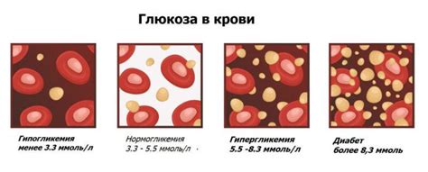 Значение сбалансированного уровня глюкозы в крови
