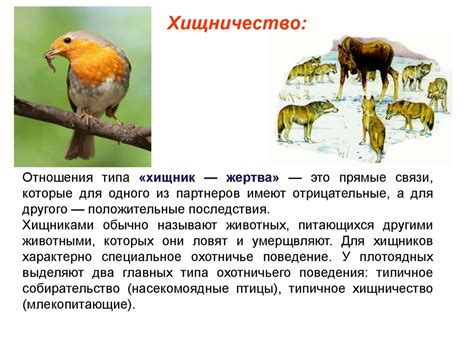 Значимость взаимоотношений между героями