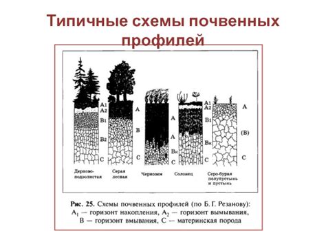 Значимость процесса семявхода для поддержания жизнеспособности растений