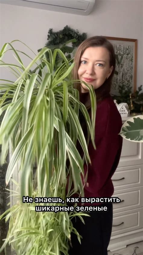 Идеальные условия для откровений