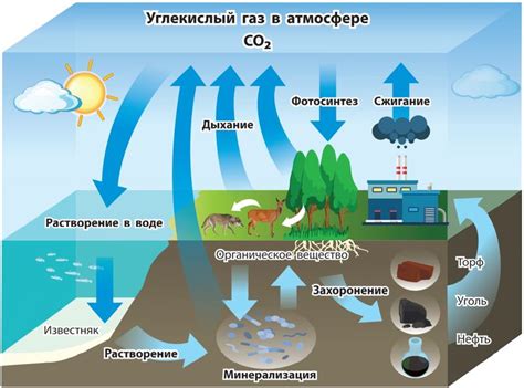 Изменение климата и его влияние на производство проса в различных регионах России
